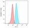 CD74 Molecule antibody, GTX34553, GeneTex, Flow Cytometry image 