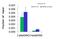 Histone Deacetylase 6 antibody, 27-349, ProSci, Chromatin Immunoprecipitation image 