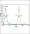 Hepatocyte Growth Factor antibody, 59-064, ProSci, Immunohistochemistry paraffin image 