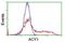 Aminoacylase 1 antibody, NBP2-00970, Novus Biologicals, Flow Cytometry image 