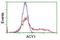 Aminoacylase 1 antibody, NBP2-00970, Novus Biologicals, Flow Cytometry image 
