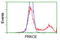 Protein Kinase C Epsilon antibody, LS-C172661, Lifespan Biosciences, Flow Cytometry image 