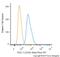 NAD(P)H Quinone Dehydrogenase 1 antibody, NB200-209AF647, Novus Biologicals, Flow Cytometry image 