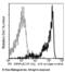 Signal Regulatory Protein Alpha antibody, 11612-MM03-P, Sino Biological, Flow Cytometry image 