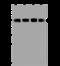 X-Linked Inhibitor Of Apoptosis antibody, 201477-T36, Sino Biological, Western Blot image 