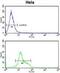 Deltex E3 Ubiquitin Ligase 4 antibody, GTX80971, GeneTex, Flow Cytometry image 