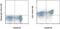 Platelet And Endothelial Cell Adhesion Molecule 1 antibody, 50-0310-80, Invitrogen Antibodies, Flow Cytometry image 