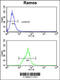 Membrane Metalloendopeptidase antibody, 62-828, ProSci, Flow Cytometry image 