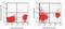 Toll Like Receptor 8 antibody, MA5-16194, Invitrogen Antibodies, Flow Cytometry image 