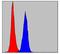 Protein Kinase N2 antibody, GTX60483, GeneTex, Flow Cytometry image 