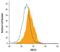 ATP Binding Cassette Subfamily A Member 1 antibody, AF7207, R&D Systems, Flow Cytometry image 