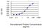 AHSA2 antibody, MA5-24516, Invitrogen Antibodies, Enzyme Linked Immunosorbent Assay image 