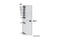 BCL2 antibody, 3498T, Cell Signaling Technology, Western Blot image 