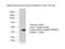 Homer Scaffold Protein 2 antibody, 11143-1-AP, Proteintech Group, Western Blot image 