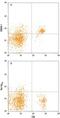 CD226 Molecule antibody, MAB4436, R&D Systems, Flow Cytometry image 