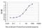 Protein Kinase C Zeta antibody, H00005590-M01, Novus Biologicals, Enzyme Linked Immunosorbent Assay image 