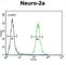 Scavenger Receptor Class F Member 2 antibody, abx025774, Abbexa, Western Blot image 