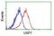 Ubiquitin Specific Peptidase 7 antibody, NBP2-01544, Novus Biologicals, Flow Cytometry image 