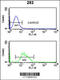 Replication Factor C Subunit 3 antibody, 61-560, ProSci, Flow Cytometry image 