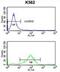 RAB7A, Member RAS Oncogene Family antibody, abx034052, Abbexa, Flow Cytometry image 