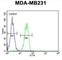 Beta-1,4-Galactosyltransferase 6 antibody, abx025857, Abbexa, Western Blot image 