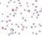 Tectonic Family Member 3 antibody, LS-C115868, Lifespan Biosciences, Immunocytochemistry image 