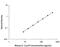 Interleukin 12A antibody, M1270, R&D Systems, Enzyme Linked Immunosorbent Assay image 