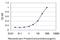 Slingshot Protein Phosphatase 3 antibody, H00054961-M01, Novus Biologicals, Enzyme Linked Immunosorbent Assay image 