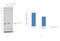 Cathepsin D antibody, PA5-17353, Invitrogen Antibodies, Western Blot image 