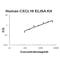 C-X-C Motif Chemokine Ligand 16 antibody, EK0741, Boster Biological Technology, Enzyme Linked Immunosorbent Assay image 