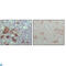 EPH Receptor B6 antibody, LS-C813966, Lifespan Biosciences, Western Blot image 