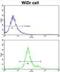 Glutathione S-Transferase Pi 1 antibody, abx031804, Abbexa, Western Blot image 