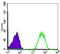 NME/NM23 Nucleoside Diphosphate Kinase 1 antibody, MA5-15642, Invitrogen Antibodies, Flow Cytometry image 