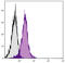 CD28 antibody, 98-721, ProSci, Immunohistochemistry paraffin image 