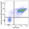 Signal Regulatory Protein Alpha antibody, 144028, BioLegend, Flow Cytometry image 