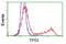p53 antibody, LS-C172912, Lifespan Biosciences, Flow Cytometry image 