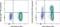 C-X-C Motif Chemokine Receptor 3 antibody, 25-1839-41, Invitrogen Antibodies, Flow Cytometry image 