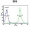 TAM41 Mitochondrial Translocator Assembly And Maintenance Homolog antibody, abx032504, Abbexa, Flow Cytometry image 