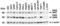 Eukaryotic Translation Initiation Factor 2 Alpha Kinase 2 antibody, 3947, ProSci, Western Blot image 