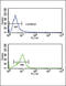 Corticotropin Releasing Hormone Receptor 2 antibody, 62-462, ProSci, Flow Cytometry image 