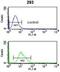 Cell Division Cycle 14B antibody, abx034219, Abbexa, Flow Cytometry image 