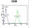 STAM Binding Protein Like 1 antibody, LS-C161540, Lifespan Biosciences, Flow Cytometry image 