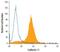 Cadherin 11 antibody, MAB17901, R&D Systems, Flow Cytometry image 