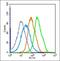 Rac Family Small GTPase 2 antibody, orb100717, Biorbyt, Flow Cytometry image 