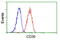 CD36 Molecule antibody, GTX84722, GeneTex, Flow Cytometry image 