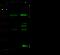 Inositol Hexakisphosphate Kinase 1 antibody, 13927-T48, Sino Biological, Western Blot image 