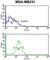 NK3 Homeobox 1 antibody, abx034191, Abbexa, Western Blot image 