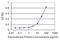 Limb Development Membrane Protein 1 antibody, H00064327-M05, Novus Biologicals, Enzyme Linked Immunosorbent Assay image 