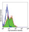 Integrin Subunit Beta 7 antibody, LS-C41345, Lifespan Biosciences, Flow Cytometry image 