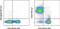 CD24 Molecule antibody, 25-0242-82, Invitrogen Antibodies, Flow Cytometry image 